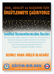 2008 Yetki